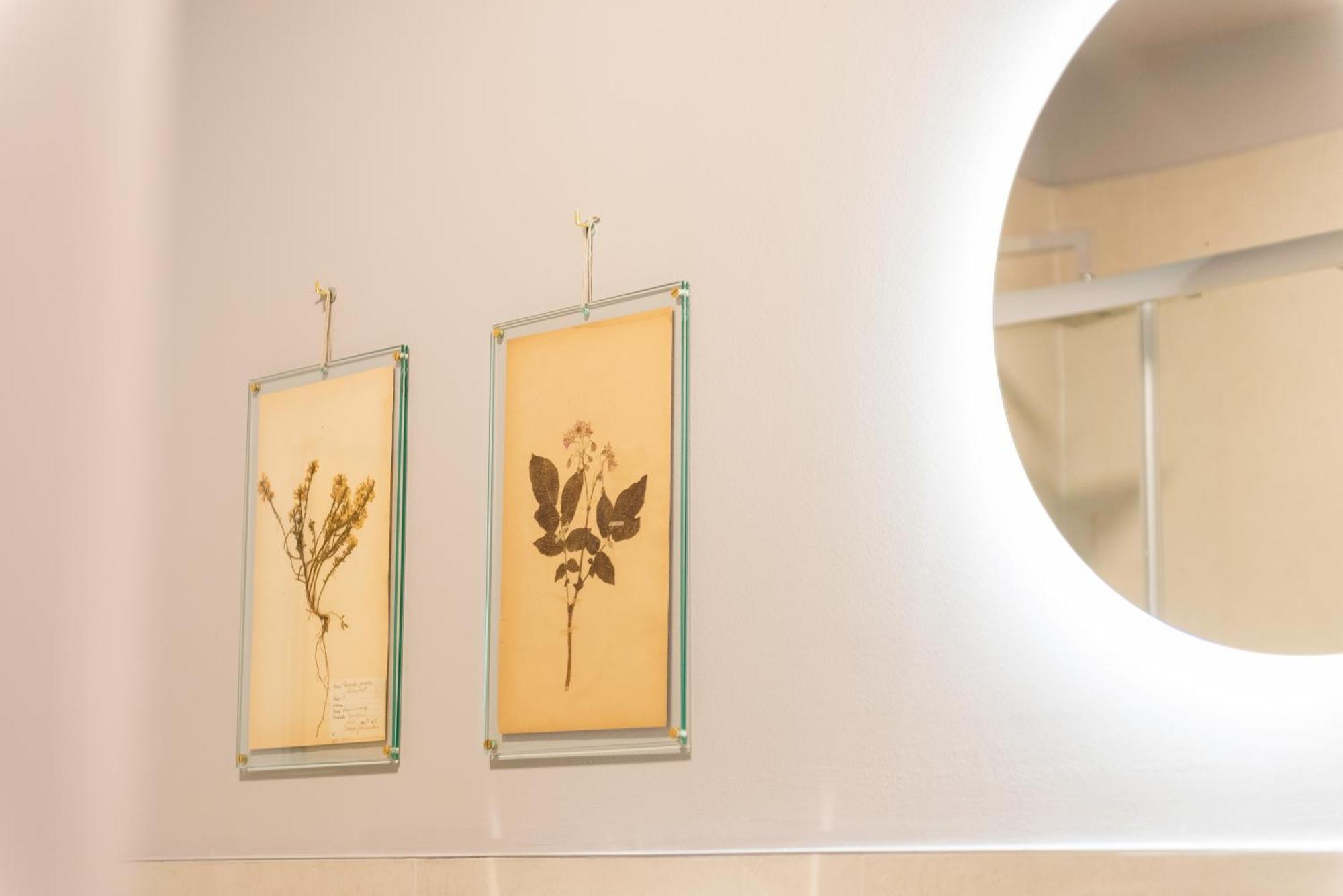 Regina Boutique Suites Trieste Extérieur photo